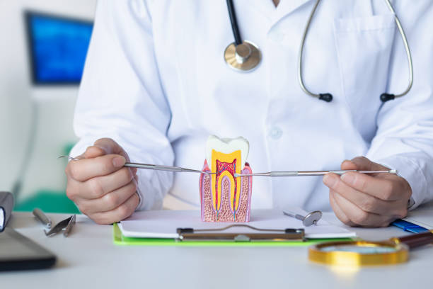 Best Orthodontic Emergency Dentist in Braidwood, IL